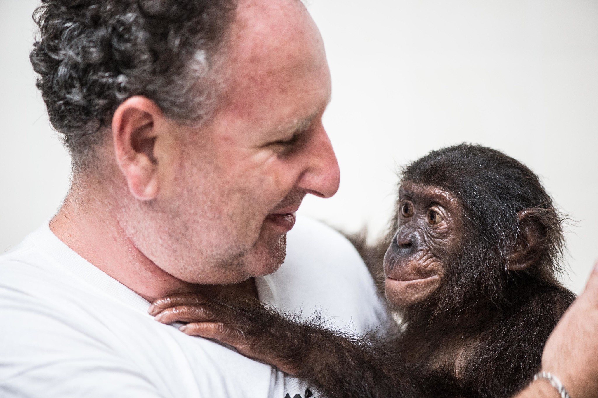 Portrait of man with a chimpanzee.