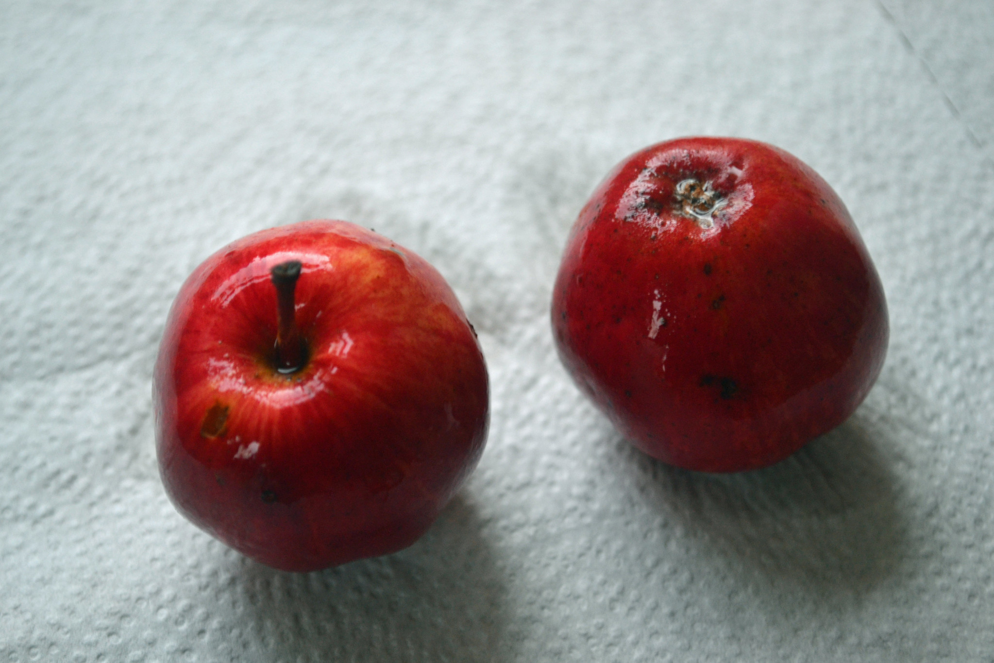 Red crab apples on the table.