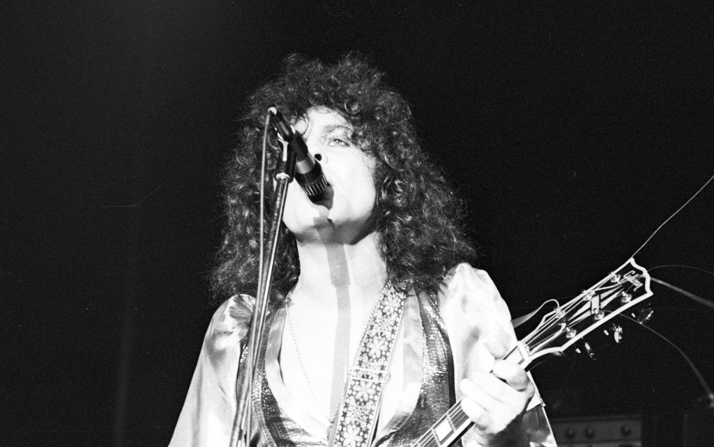 Photo of T. Rex