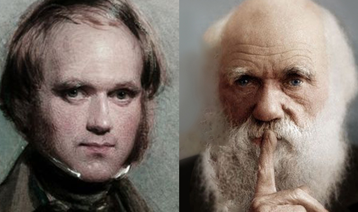 Charles Darwin Split