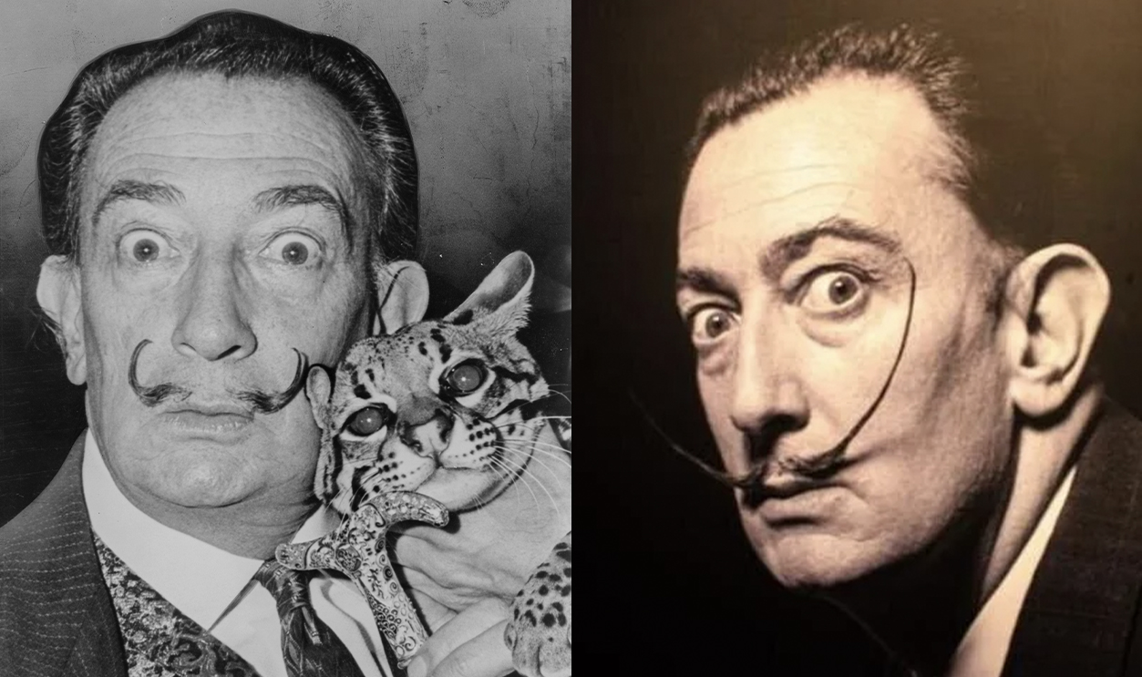salvador dali