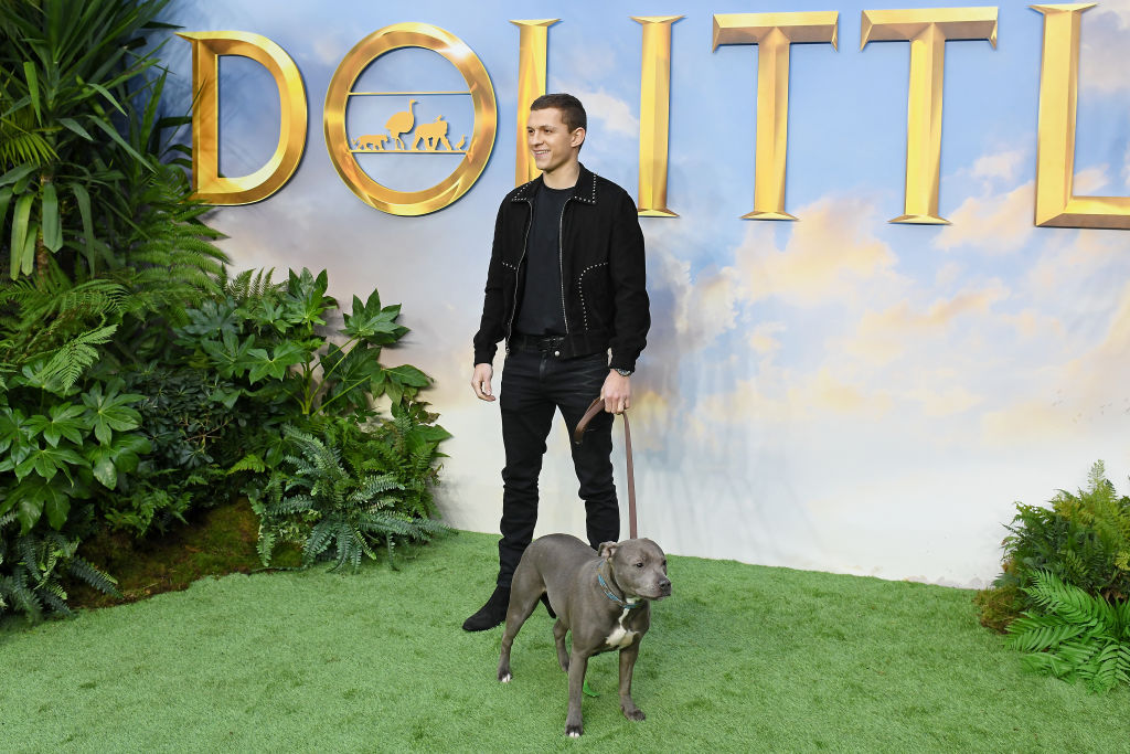 Tom Holland and his dog