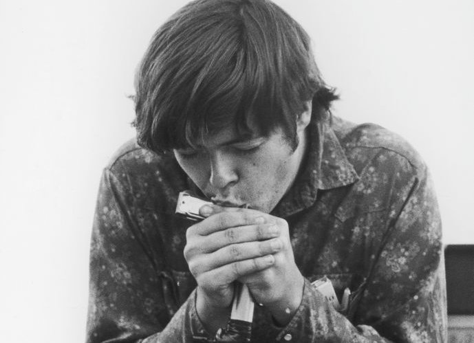 Blind Owl At Woodstock