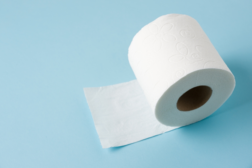 Top view of toilet paper roll