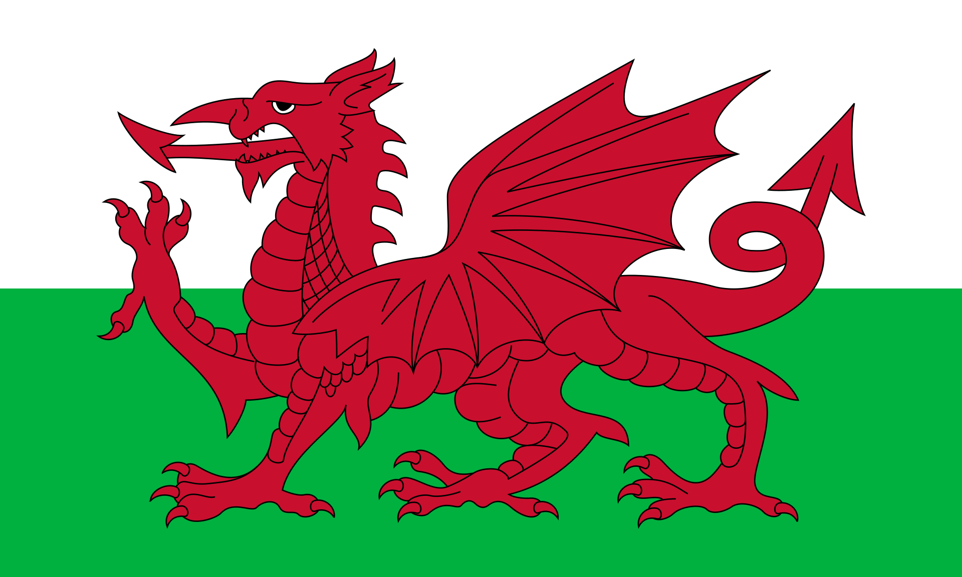 Flag Of Wales