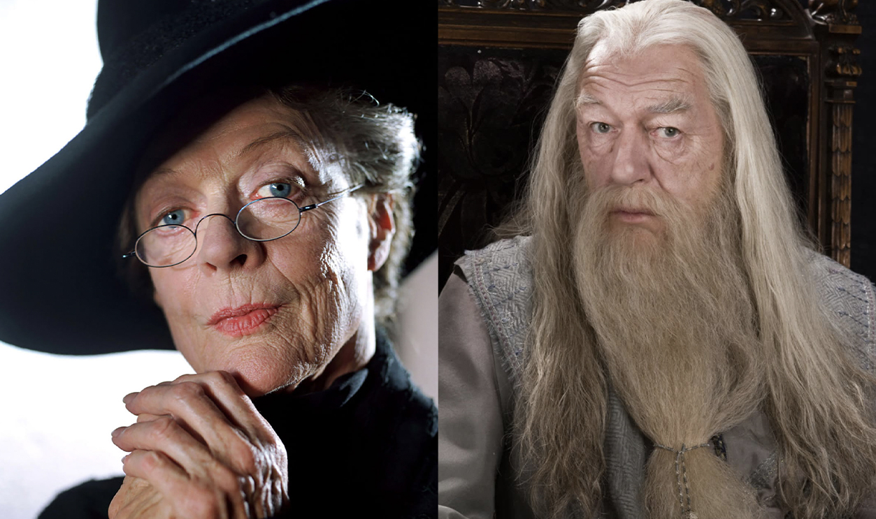 Harry Potter Professors Msn Split