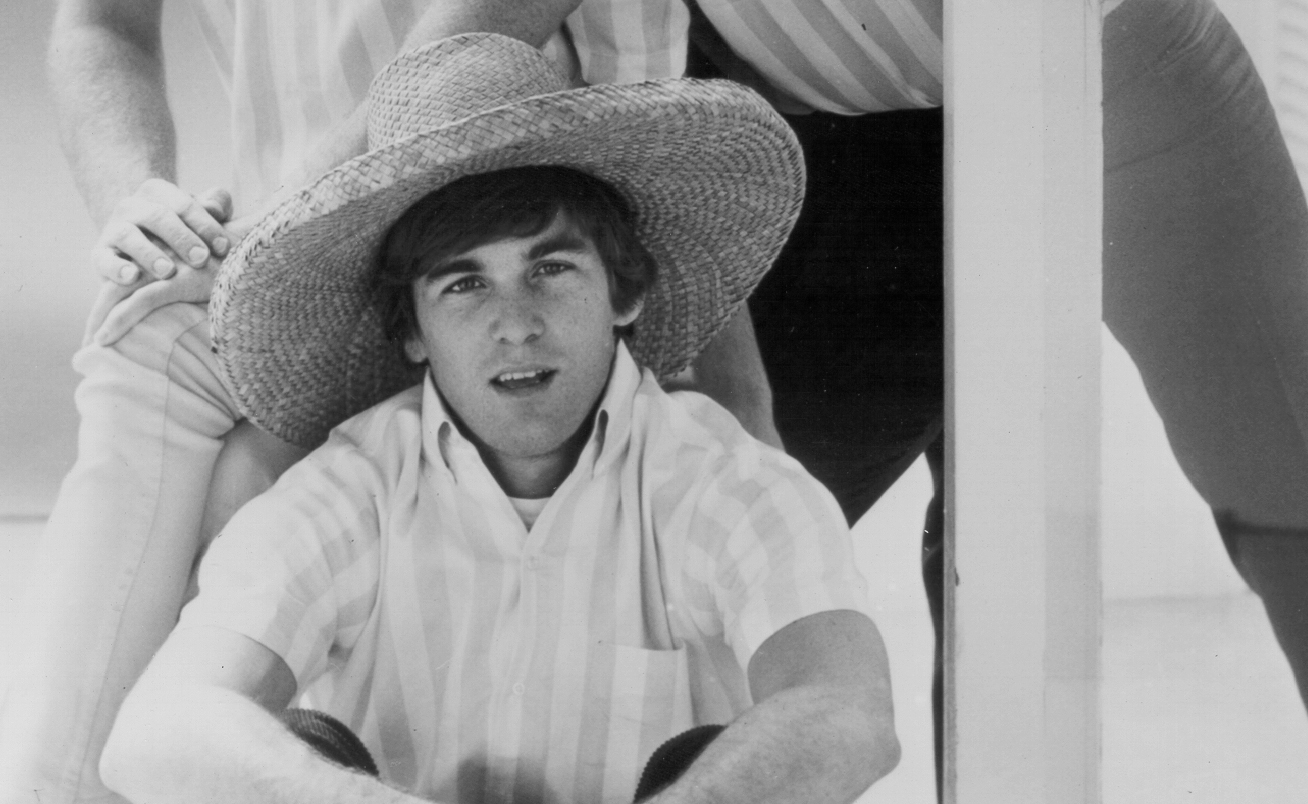 Beach Boys Portrait - Dennis Wilson
