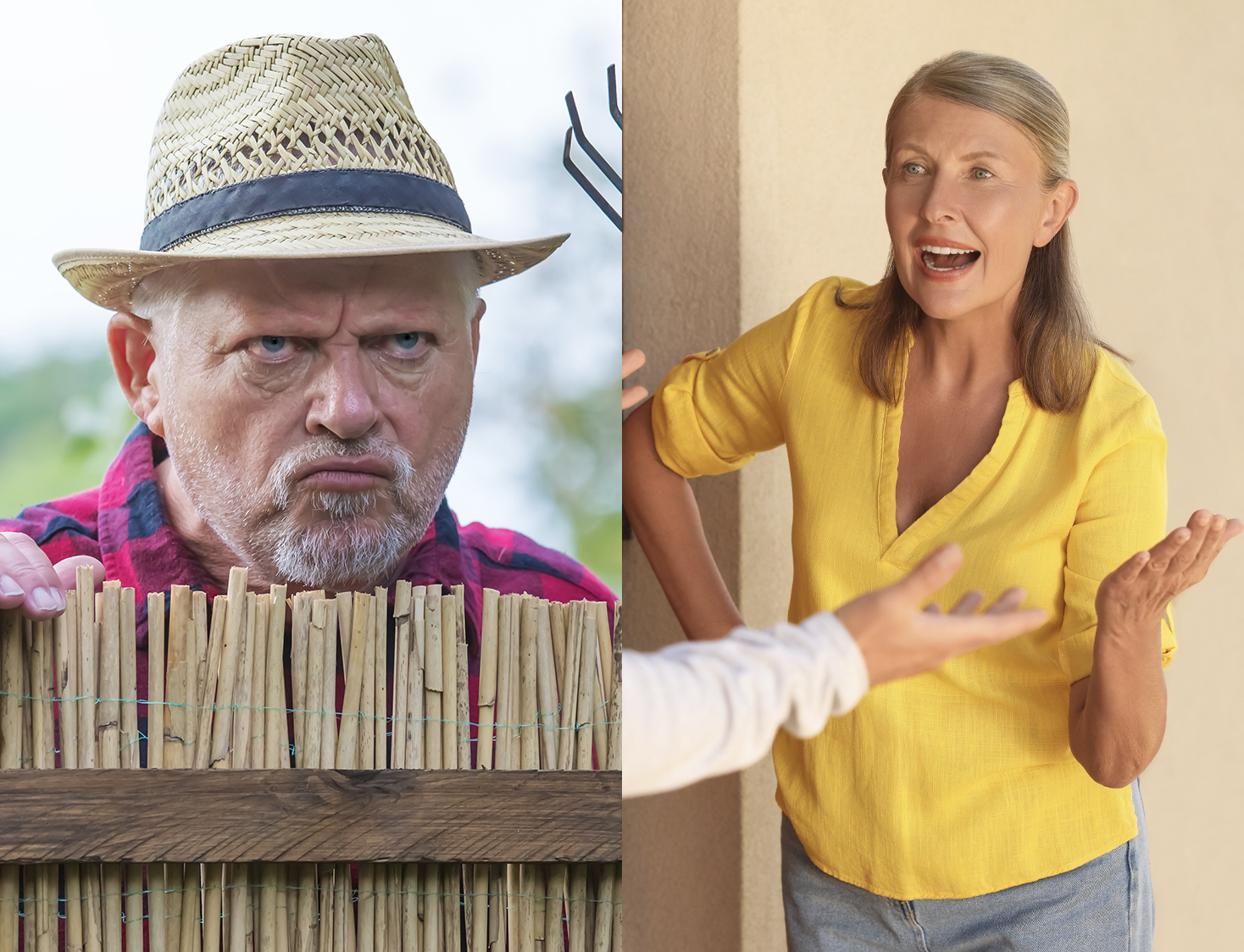 neighbors split image