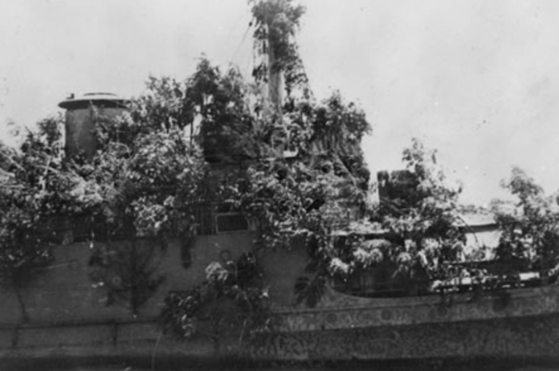 HNLMS Abraham Crijnssen Covered In Branches
