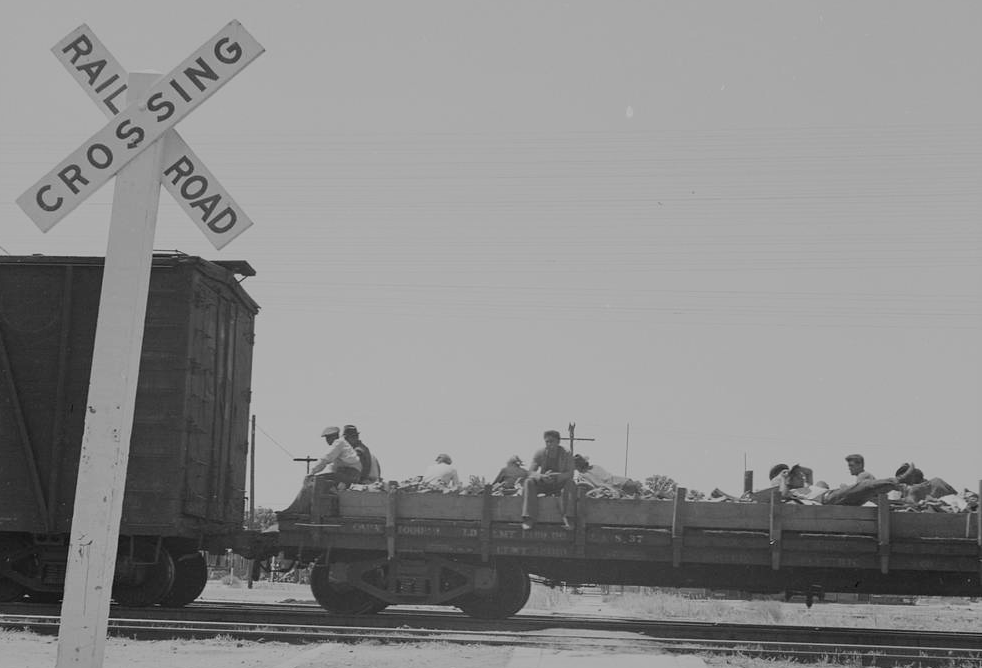 On the Freights - the last year of the Great Depression