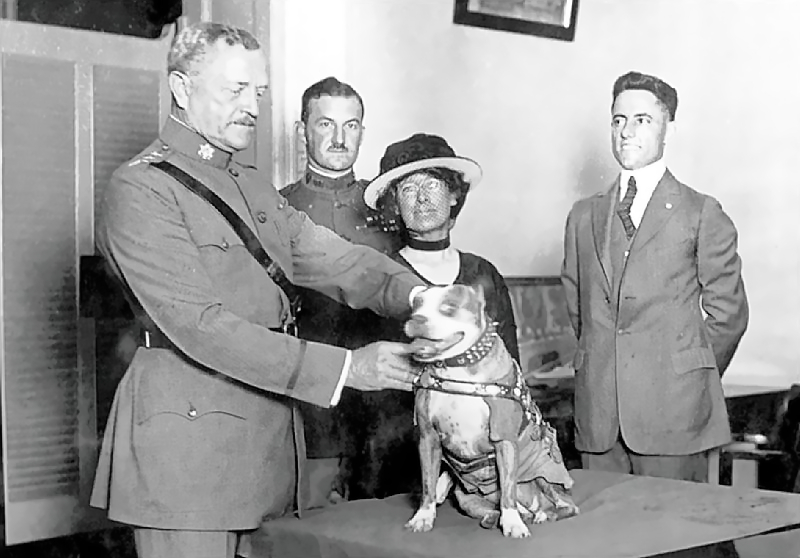 Sergeant Stubby