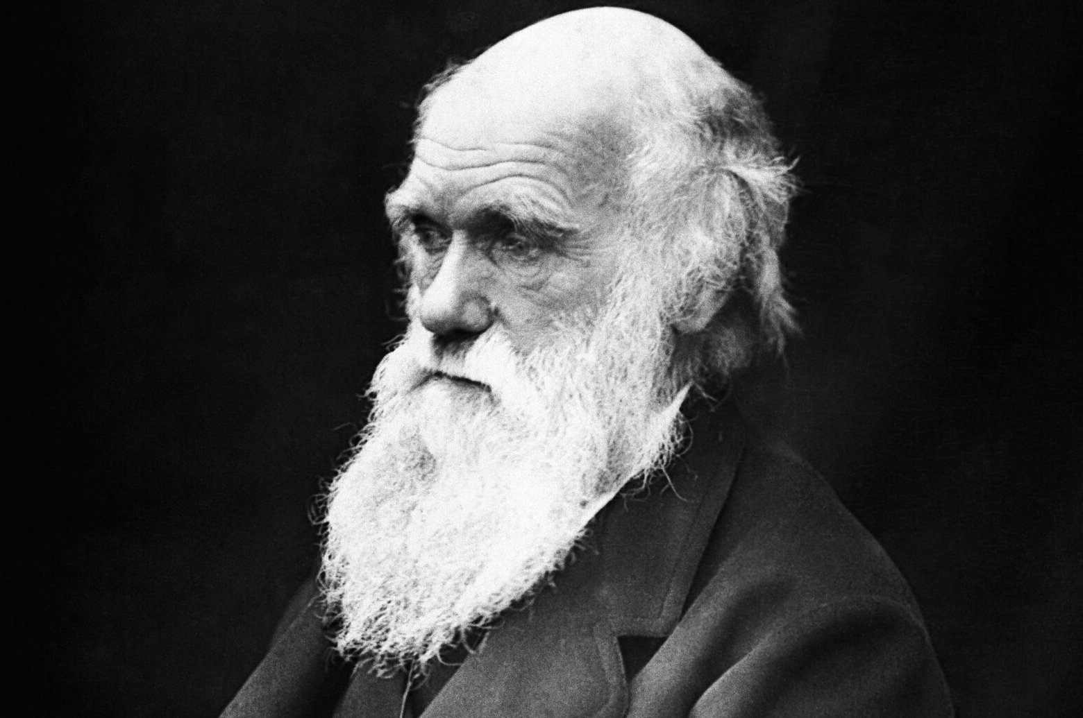 Charles Darwin in black suit