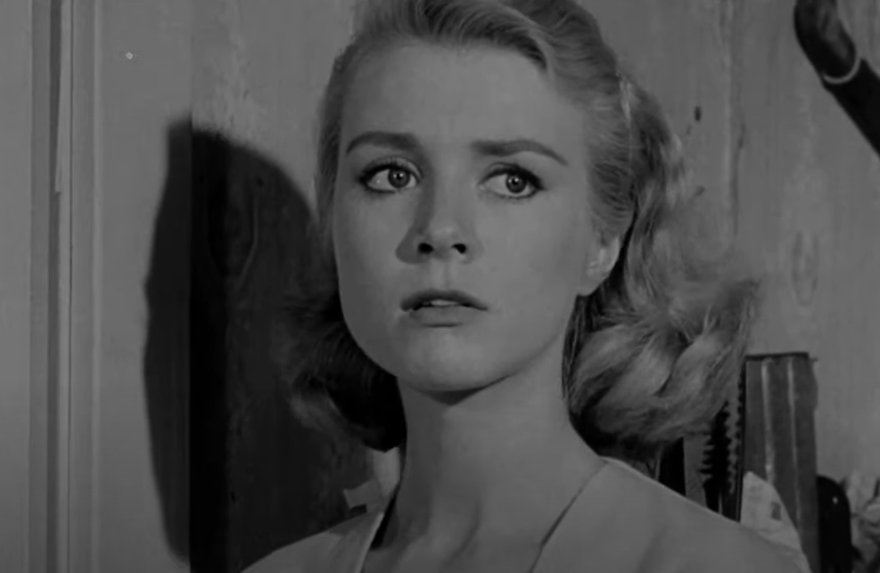 Inger Stevens as Joan Molner