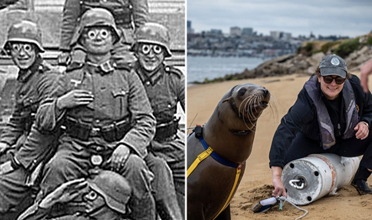 Weirdmilitary-Msnsimp