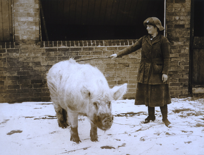 Land Girl with Pig