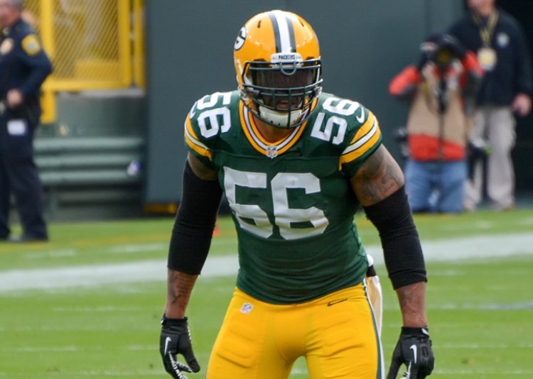 Julius Peppers in Green Bay Packers jersey