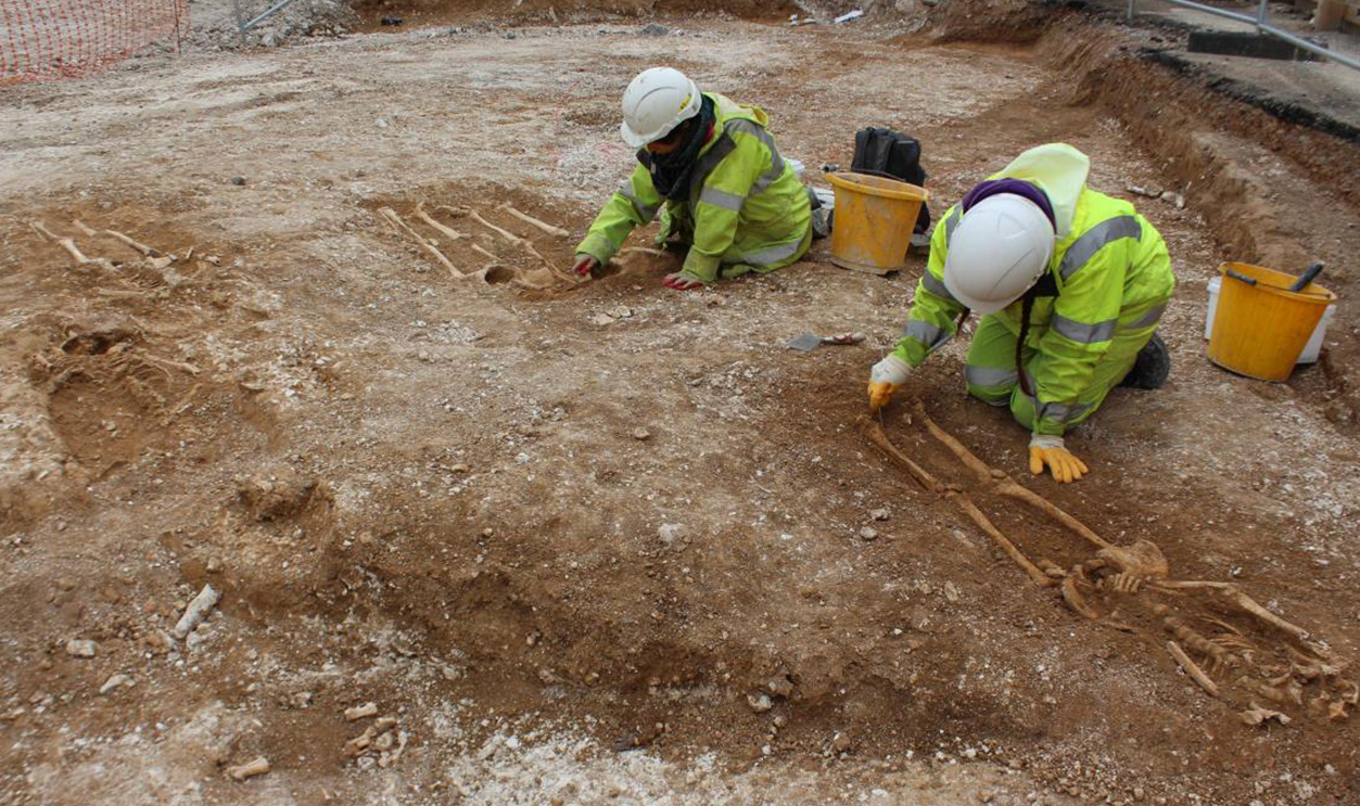 Rss Thumb - Archaeological Dig