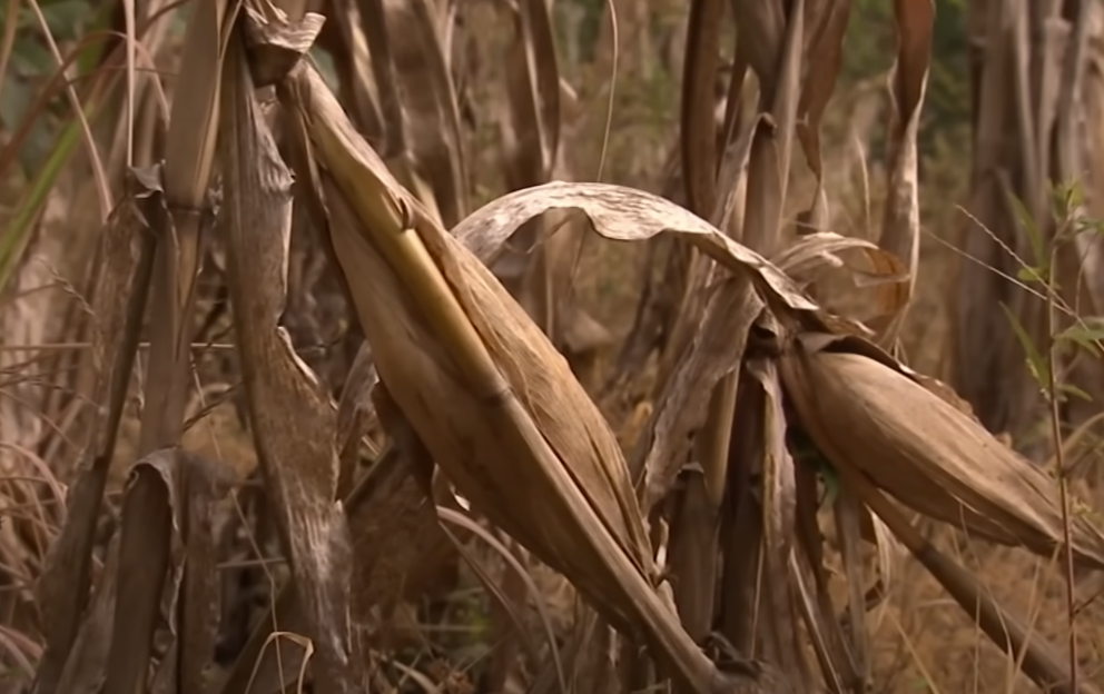 Screenshot of the documentary Lost World of the Maya (2019)