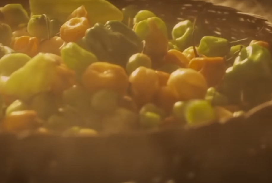 Screenshot of the documentary Lost World of the Maya (2019)