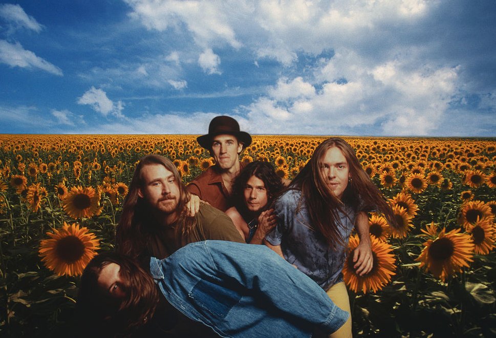 Portrait Photo of Blind Melon Members in Sunflower Field