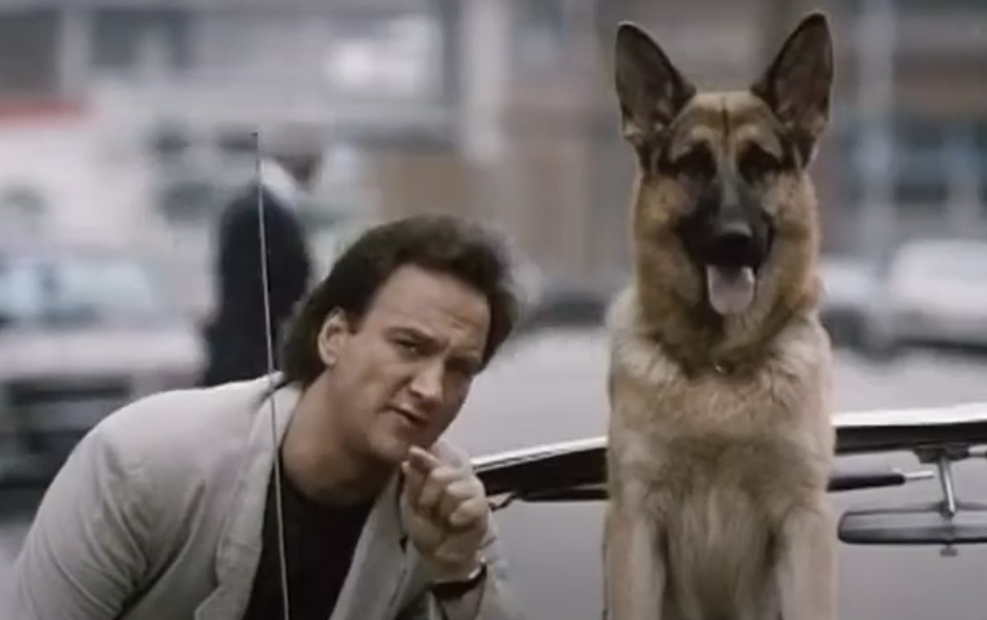 A screenshot of the movie K-9