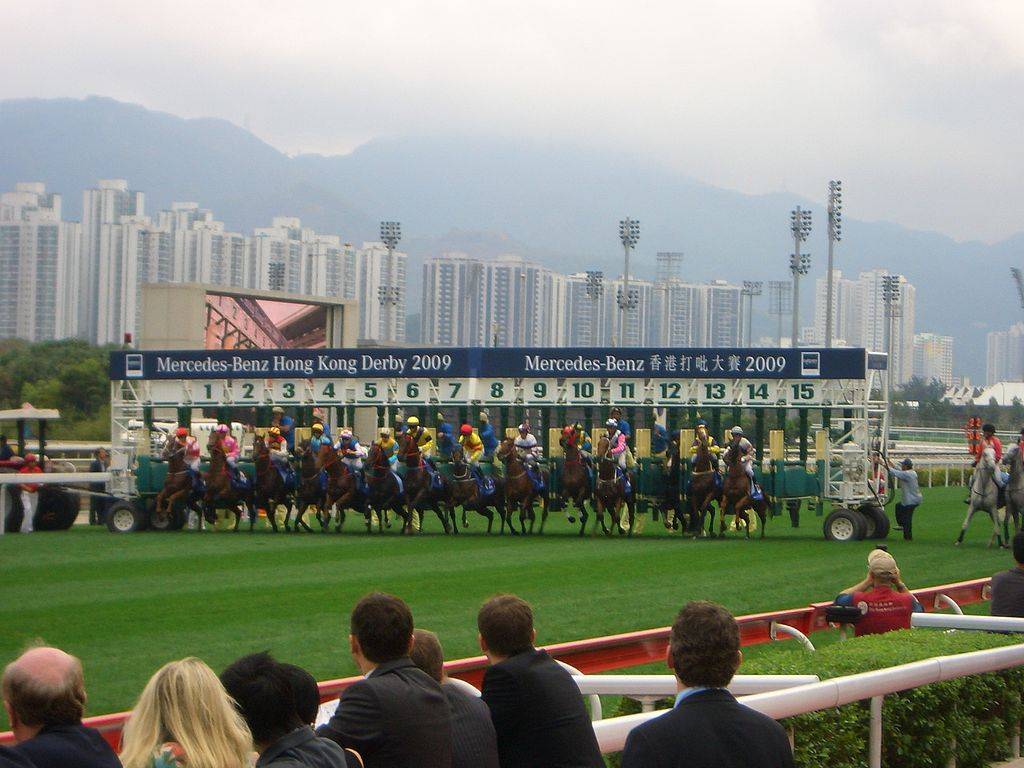 Horse race in 2009 Hong Kong Derby