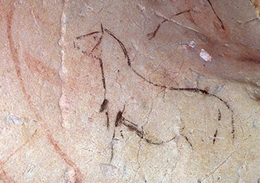 La Pasiega Cave in Monte Castillo - 2020