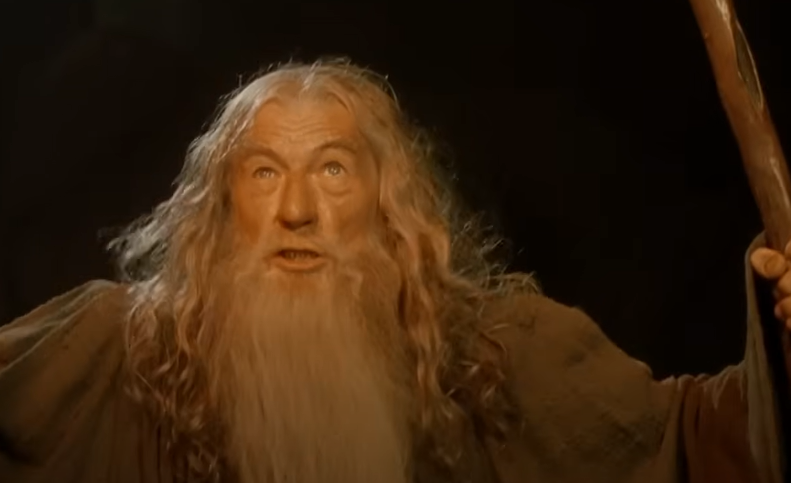 Screenshot of the movie Lord of the Rings: The Fellowship of the Ring (2001)