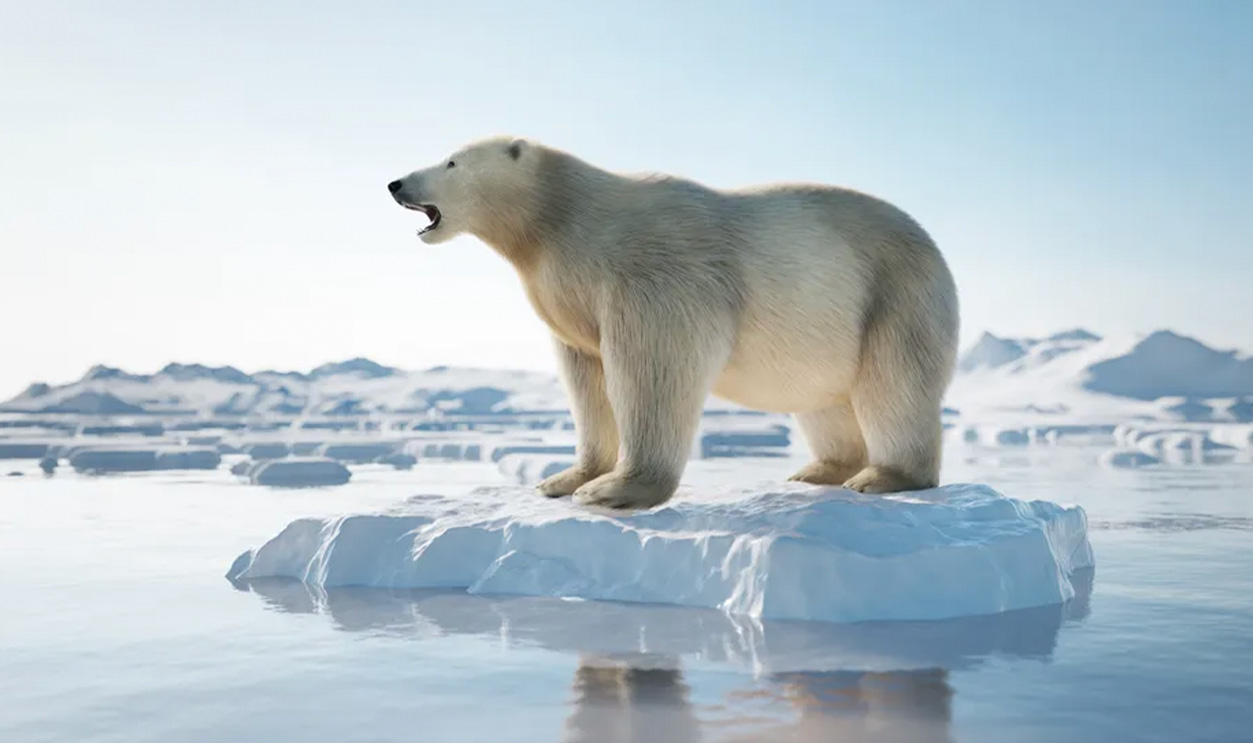 Rss Thumb - Climate Change