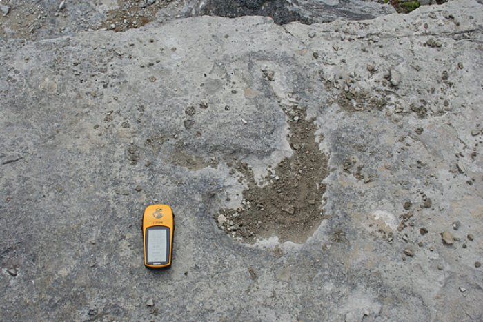 Dinosaur footprint fossil with GPS for scale
