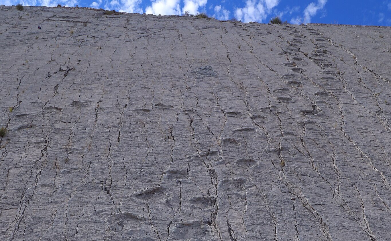 A hill with Sauropod Dinosaur Tracks