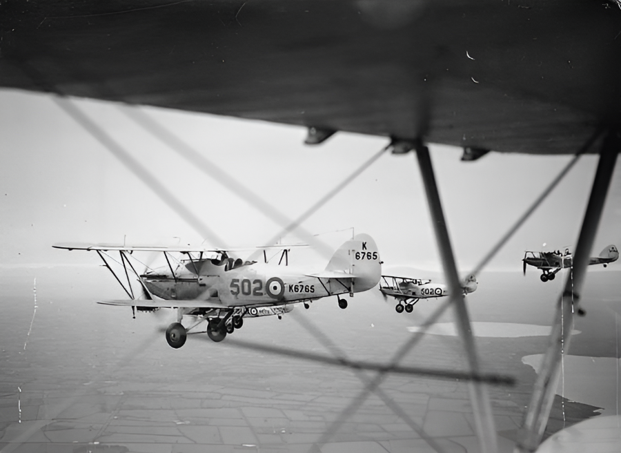 RAF pilots in air