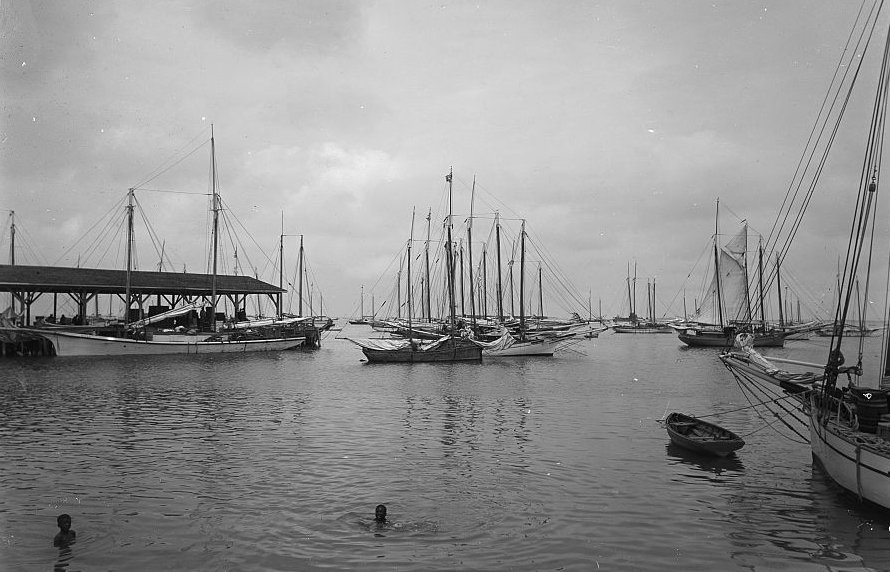 Sponge fleet in harbor, Key West, Florida