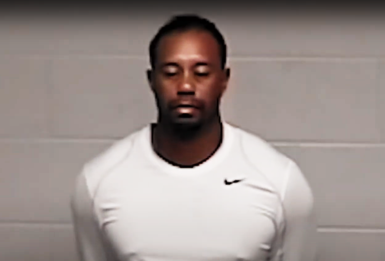 Screenshot of the TV Series Tiger