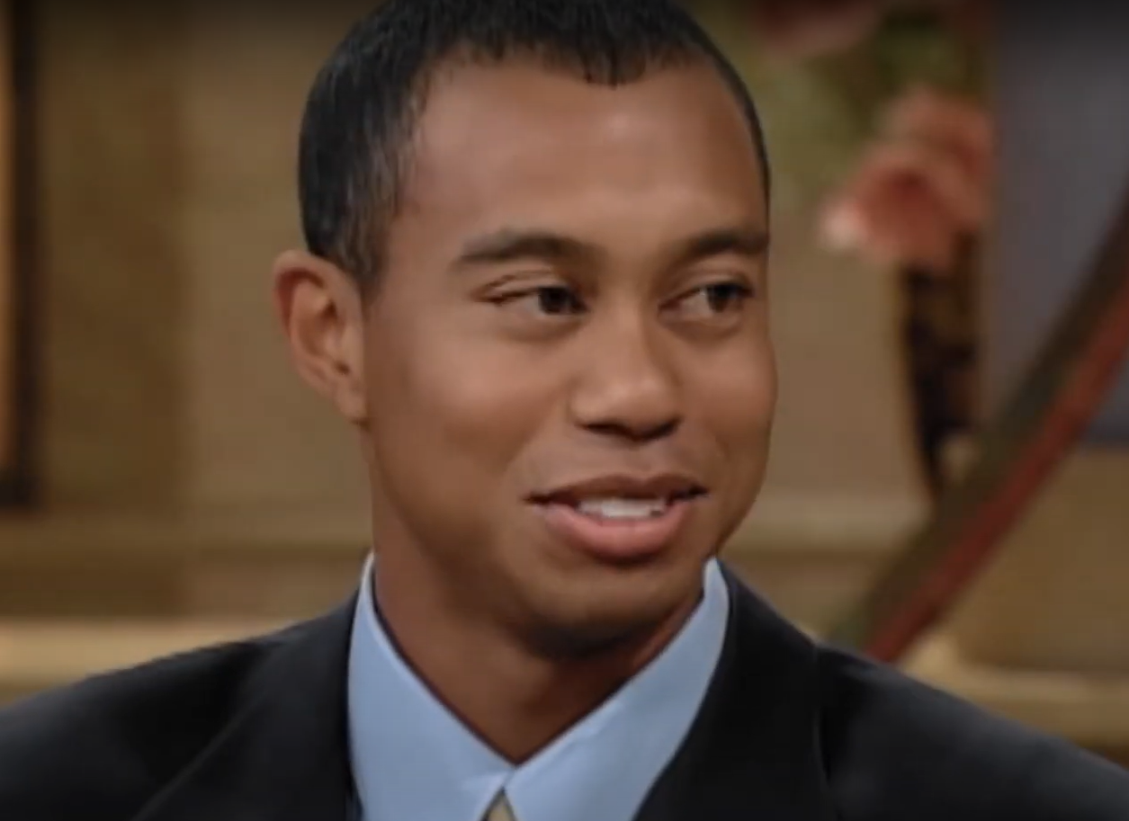 Screenshot of the TV Series Tiger