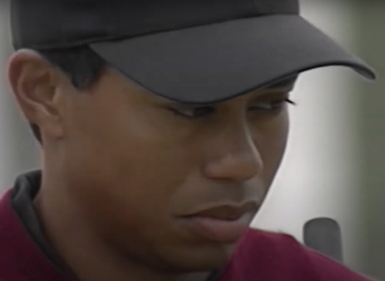 Screenshot of the TV Series Tiger