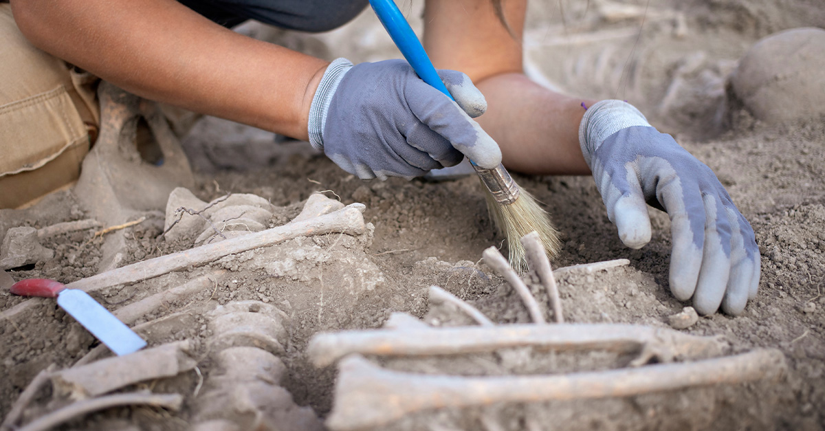 Researchers just discovered 100s of bodies in a garden outside a church. Now they must solve the mystery of how and why they got there.