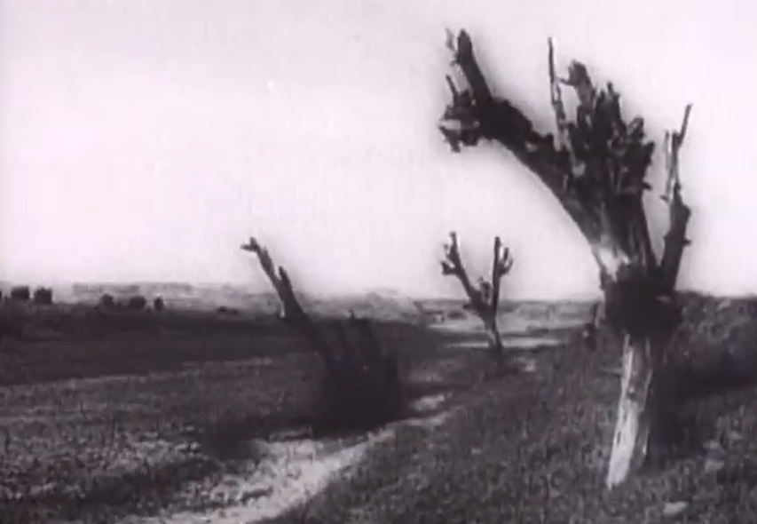 Screenshot of documentary China: A Century of Revolution (1989)