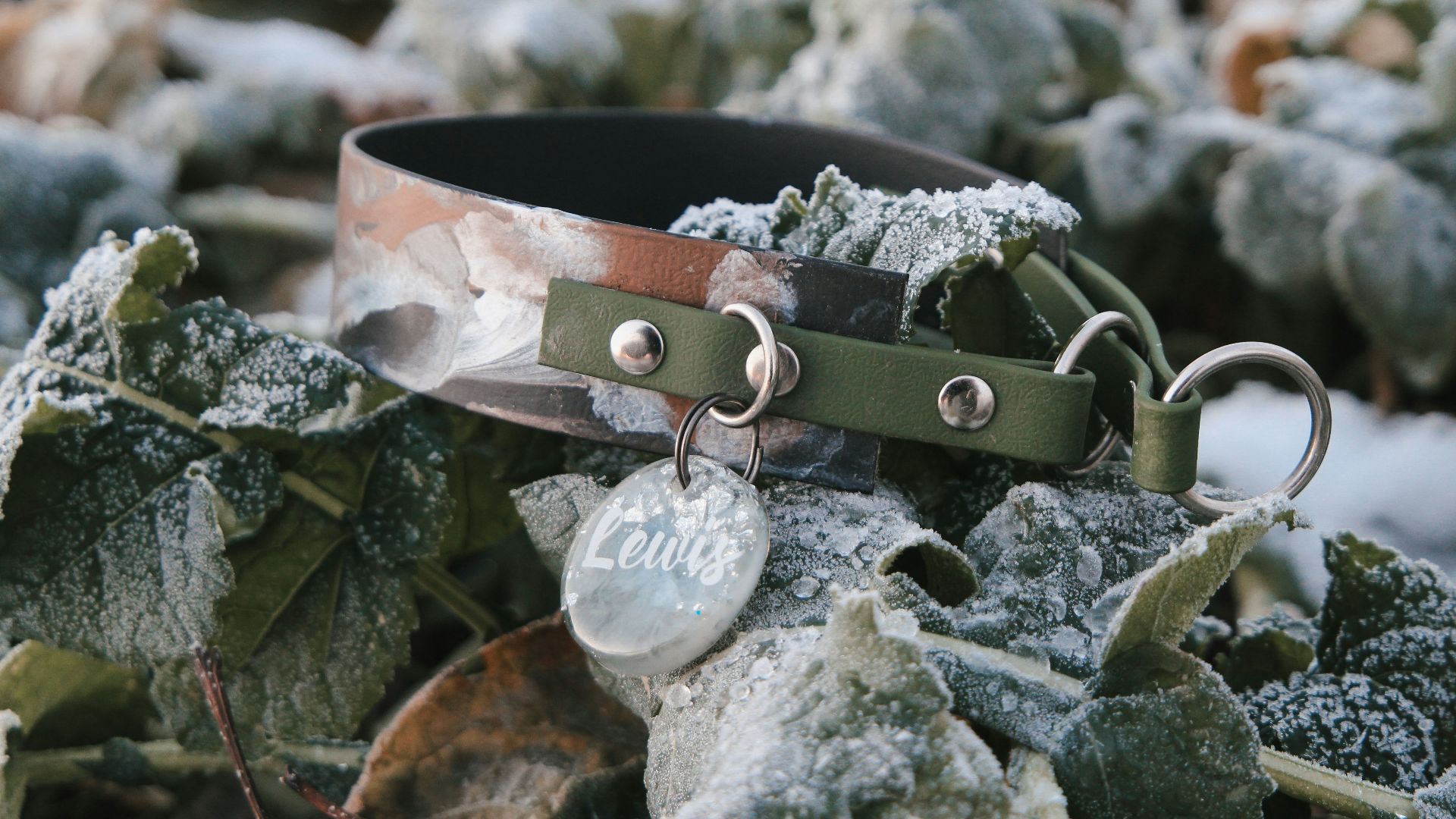 a close up of a leather bracelet on a plant