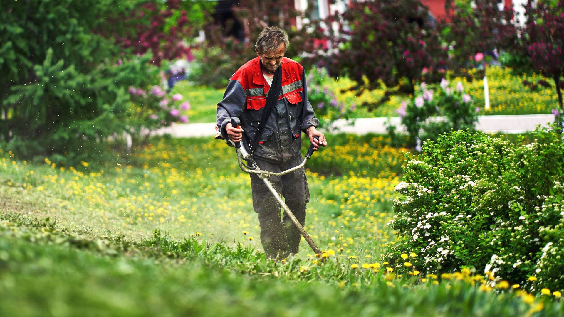 a man is mowing the grass in the yard