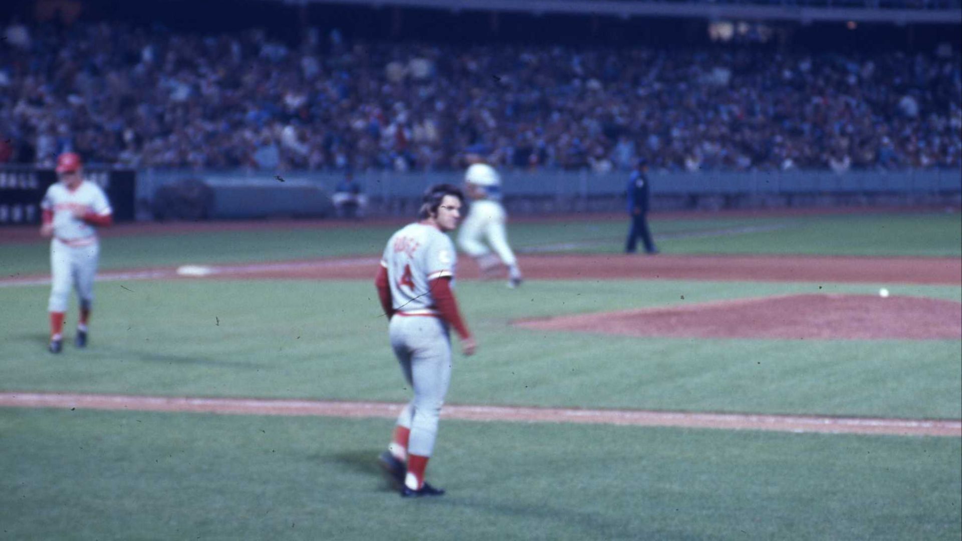 File:Rose walking onto field.jpg