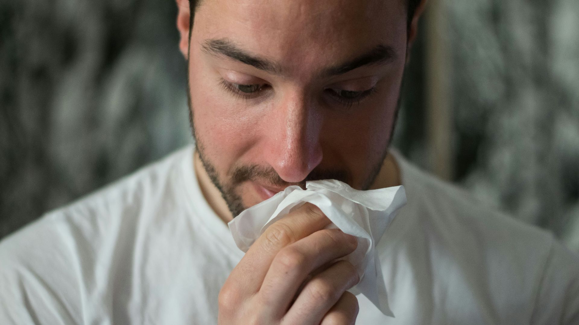man wiping mouse with tissue paper