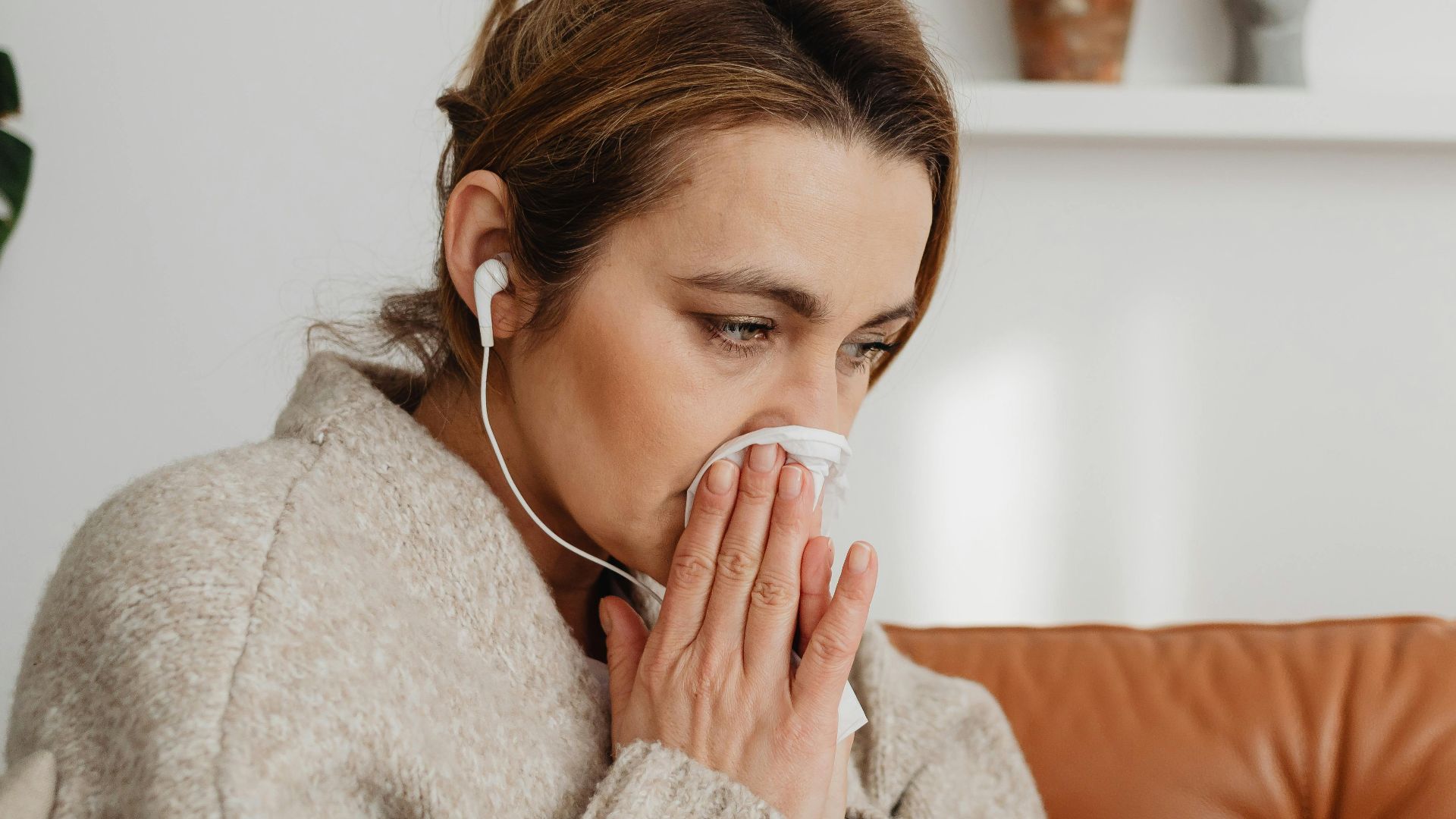 Photo By: Kaboompics.com