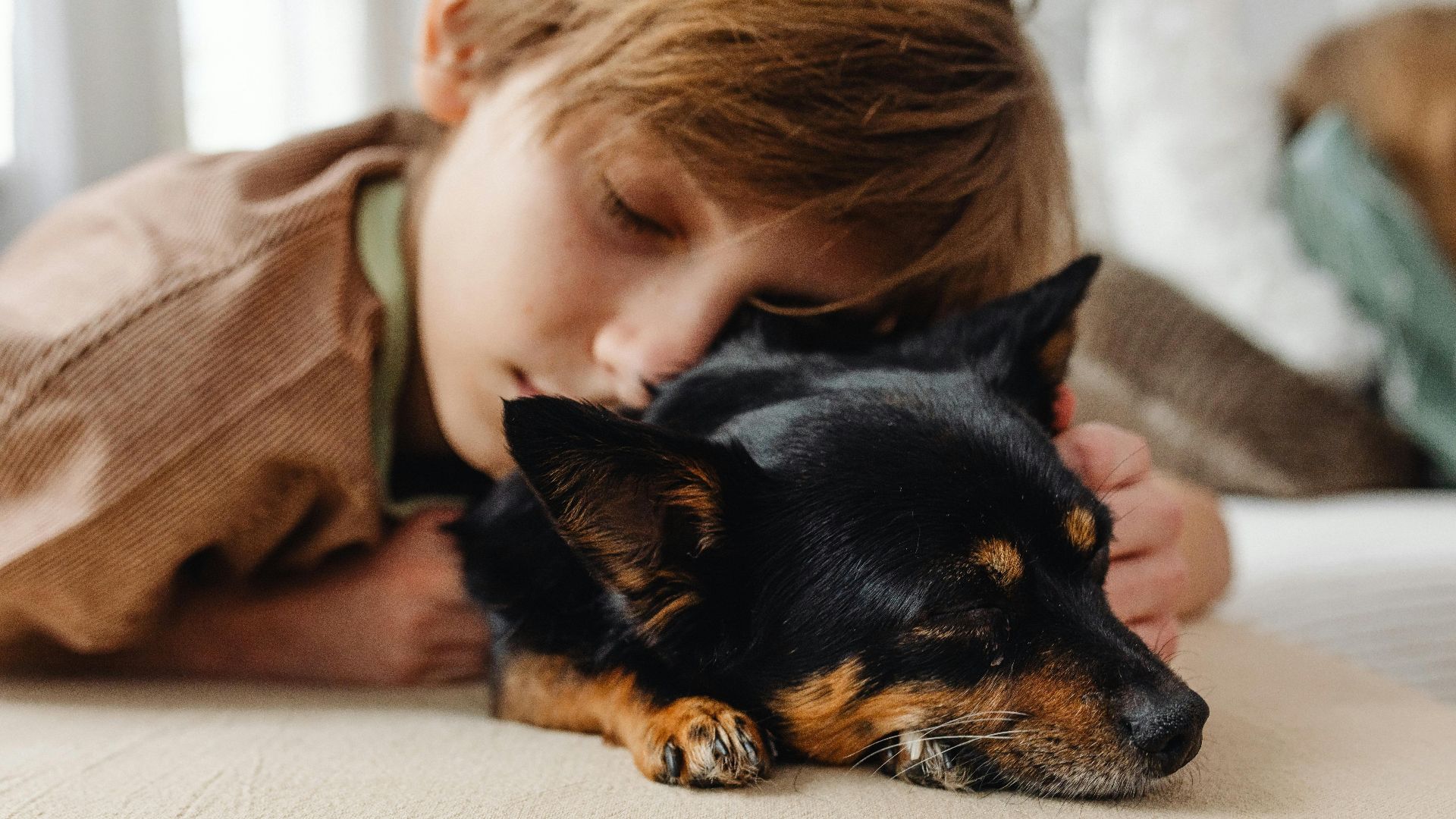 Photo By: Kaboompics.com