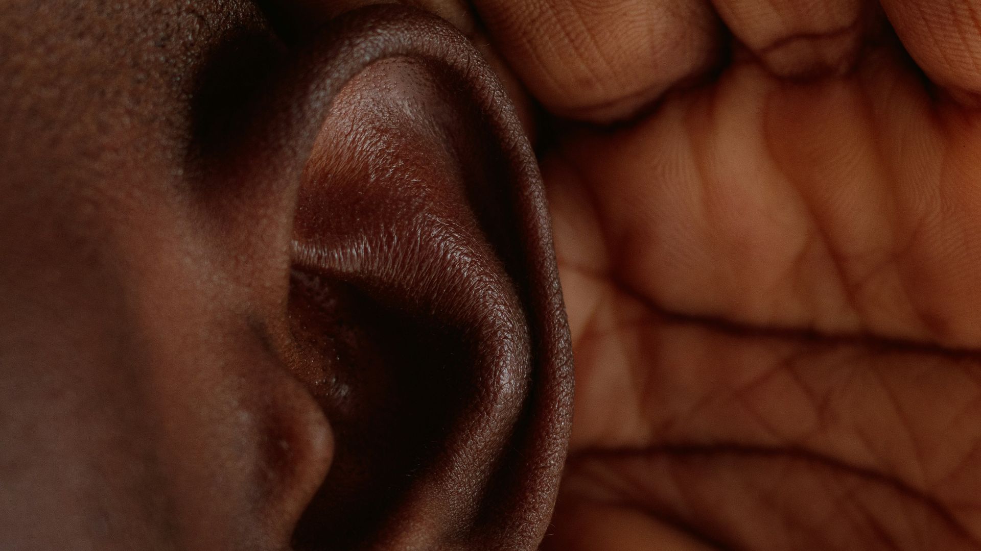 a close up of a person's hand holding a fake ear
