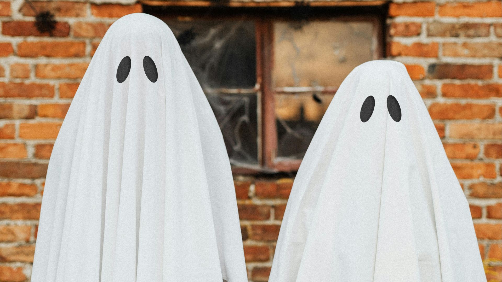 Photo By: Kaboompics.com