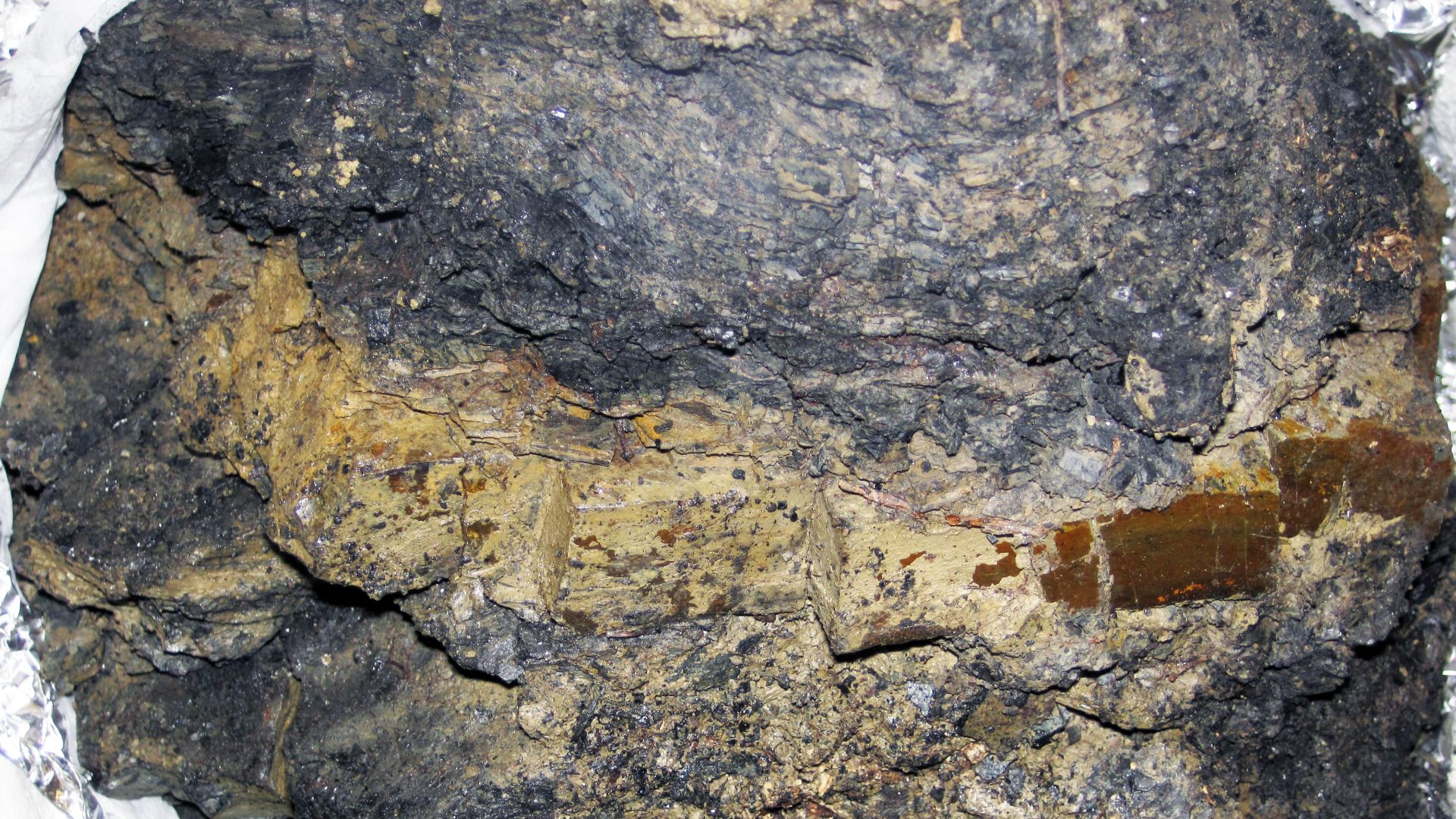 File:Cretaceous-Tertiary boundary clay (Raton Formation, 65 Ma; southern Colorado, USA) (34782334145).jpg