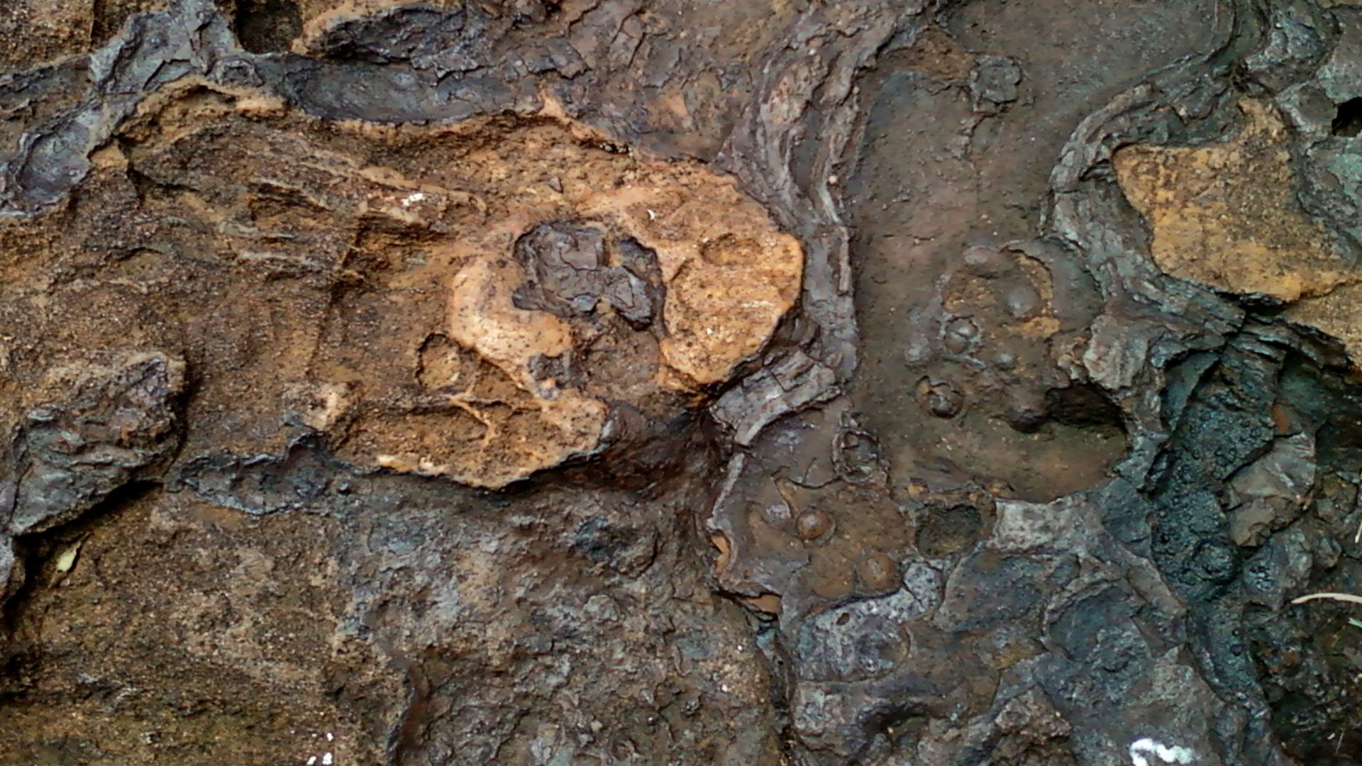 File:Igneous-rock (Tuff type) at Rushikonda, Visakhapatnam.jpg