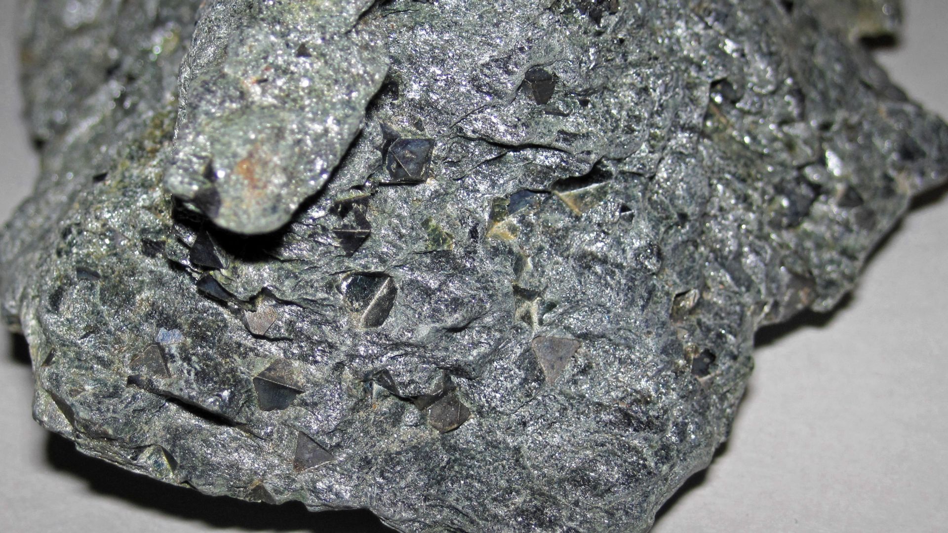 File:Chlorite schist with magnetite (Wissahickon Formation; Jarrettsville, Maryland, USA) 4 - 53316685877.jpg