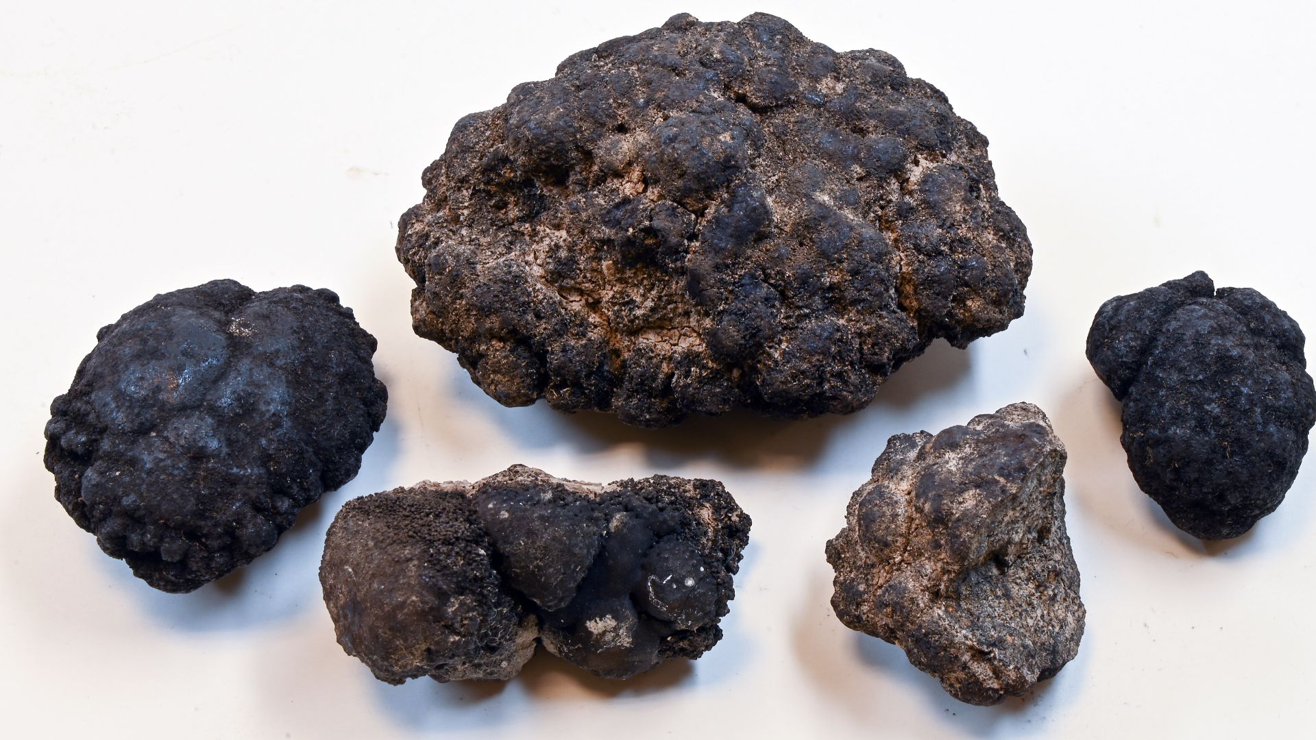 File:Manganese-nodule00 hg.jpg